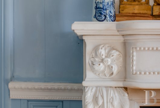 chateaux a vendre poitou charentes   - 7