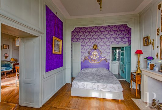 chateaux a vendre poitou charentes   - 11
