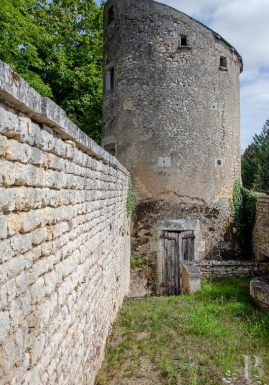 chateaux a vendre poitou charentes   - 14