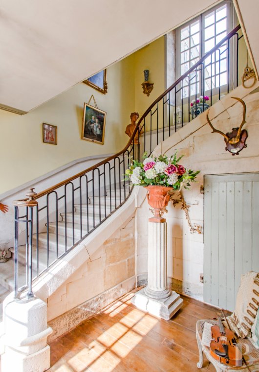 chateaux a vendre poitou charentes   - 10