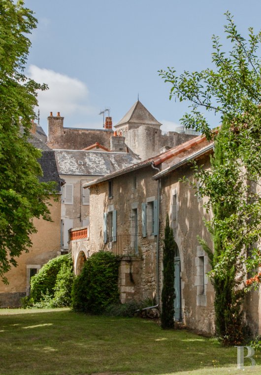 chateaux a vendre poitou charentes   - 13