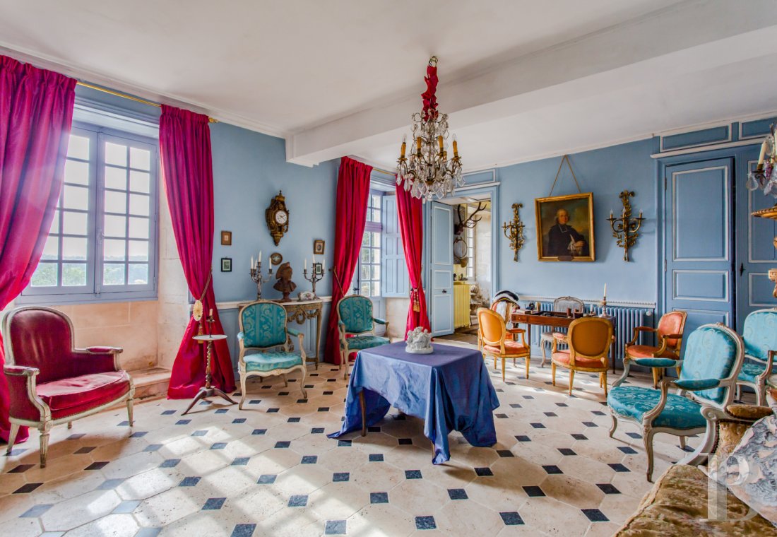chateaux a vendre poitou charentes   - 5