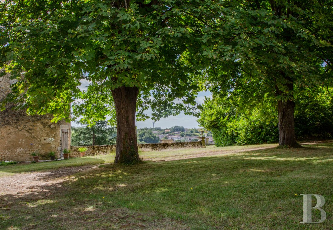 chateaux a vendre poitou charentes   - 16
