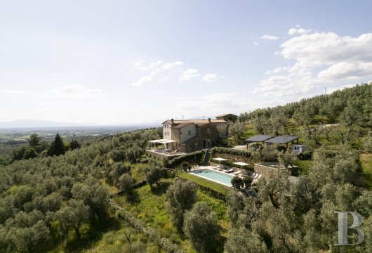 A 19th-century farmhouse surrounded by olive trees in Tuscany, north of Vinci, not far from Florence - photo  n°3