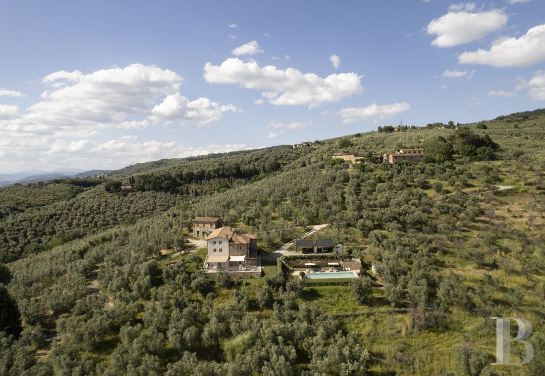 A 19th-century farmhouse surrounded by olive trees in Tuscany, north of Vinci, not far from Florence - photo  n°27