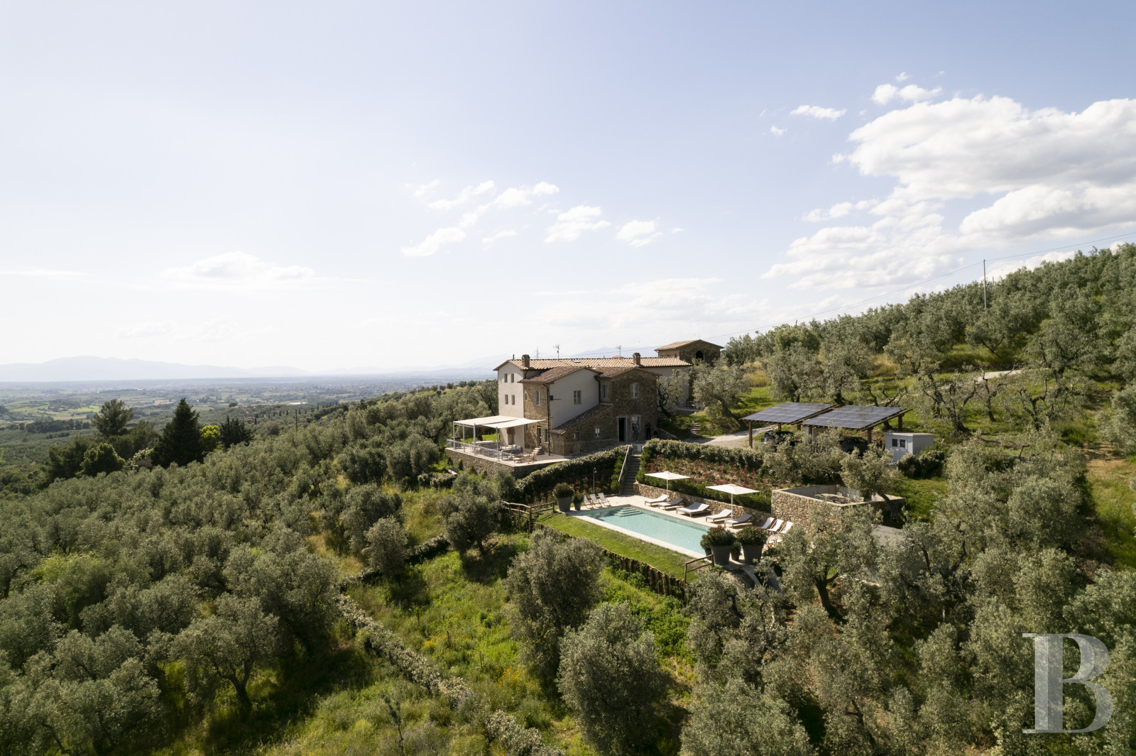En Toscane, au nord de Vinci et non loin de Florence, une ancienne ferme du 19e siècle au milieu des oliviers - photo  n°3