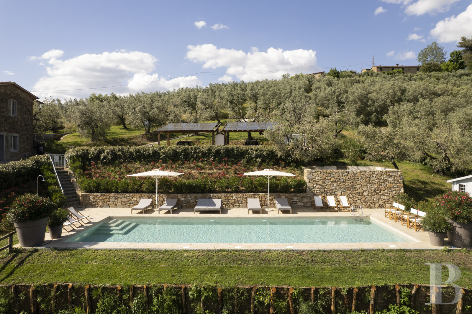 En Toscane, au nord de Vinci et non loin de Florence, une ancienne ferme du 19e siècle au milieu des oliviers - photo  n°2