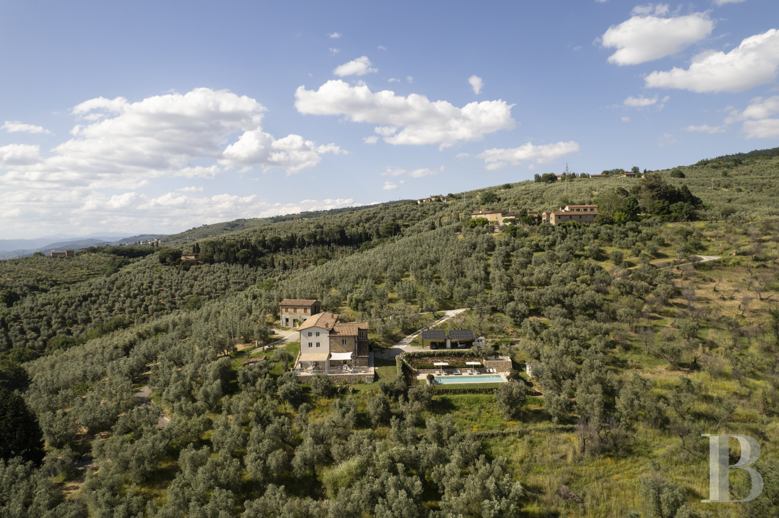 En Toscane, au nord de Vinci et non loin de Florence, une ancienne ferme du 19e siècle au milieu des oliviers - photo  n°27