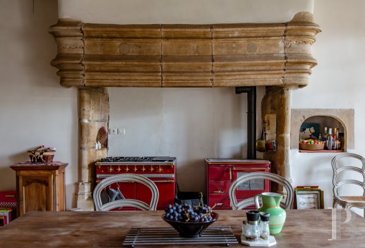 chateaux a vendre rhones alpes   - 9