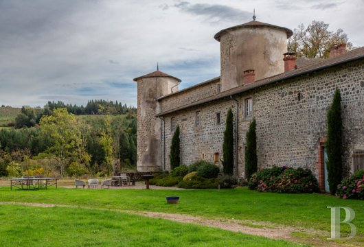 chateaux a vendre rhones alpes   - 20