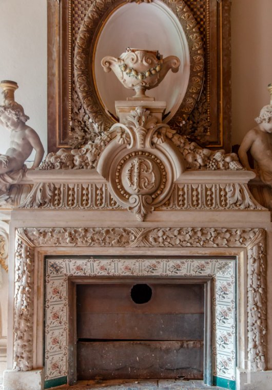 chateaux a vendre rhones alpes   - 7