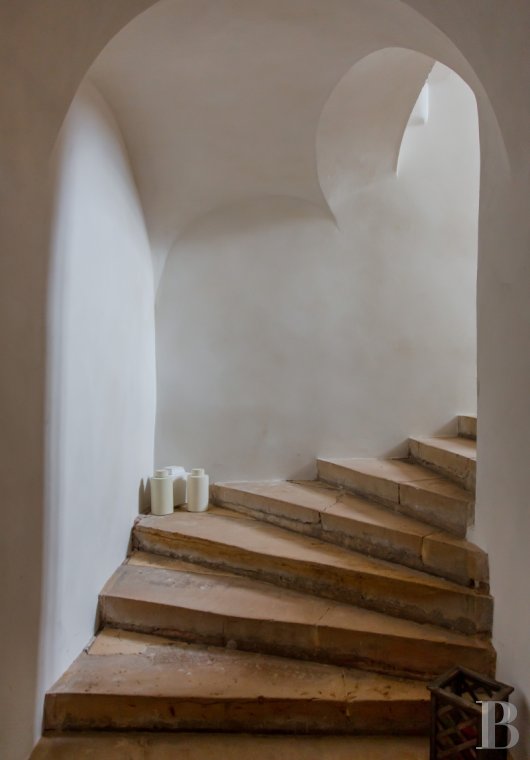 chateaux a vendre rhones alpes   - 11