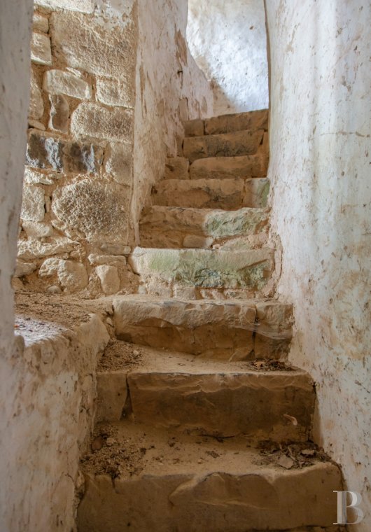 chateaux a vendre rhones alpes   - 15