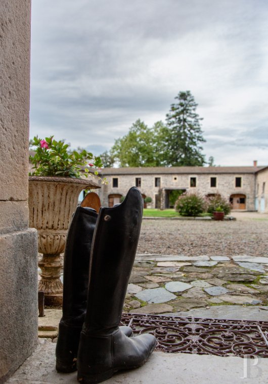 chateaux a vendre rhones alpes   - 3