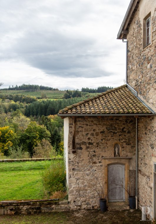 chateaux a vendre rhones alpes   - 16