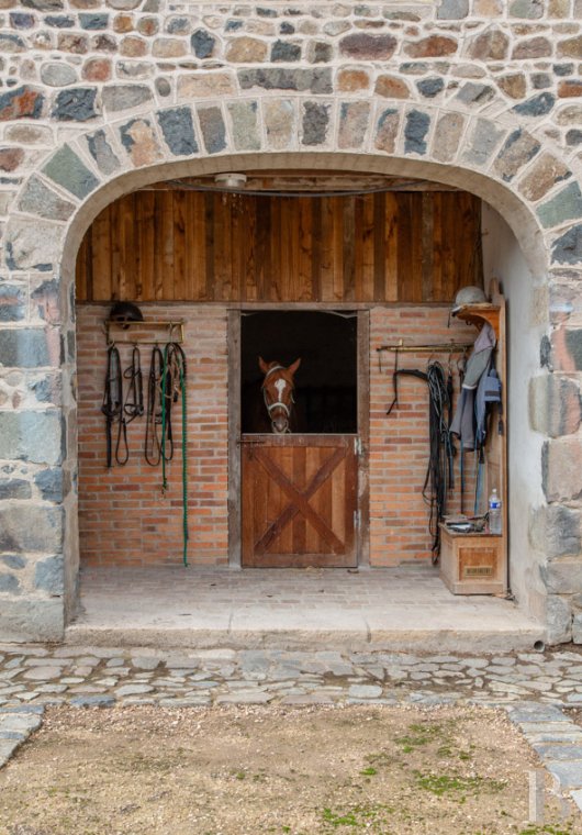 chateaux a vendre rhones alpes   - 19