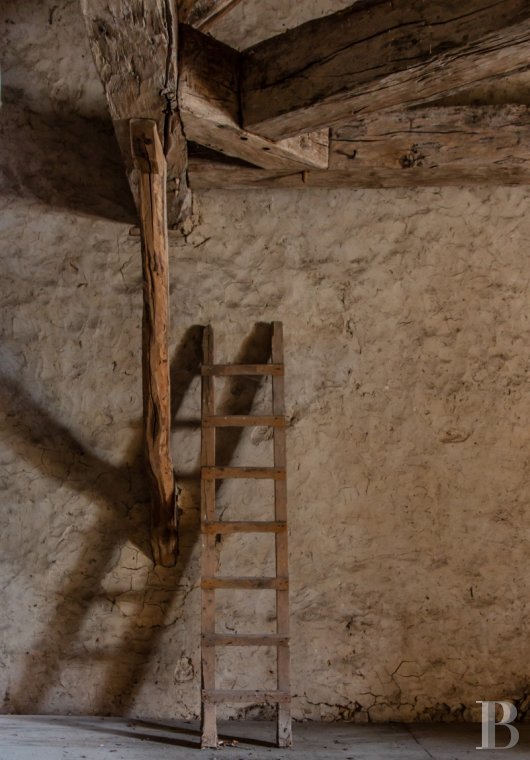 chateaux a vendre rhones alpes   - 18