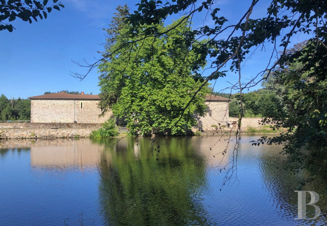 chateaux a vendre rhones alpes   - 22