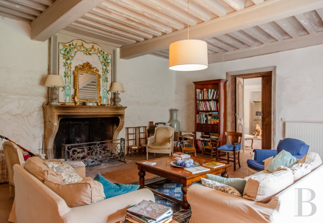 chateaux a vendre rhones alpes   - 6