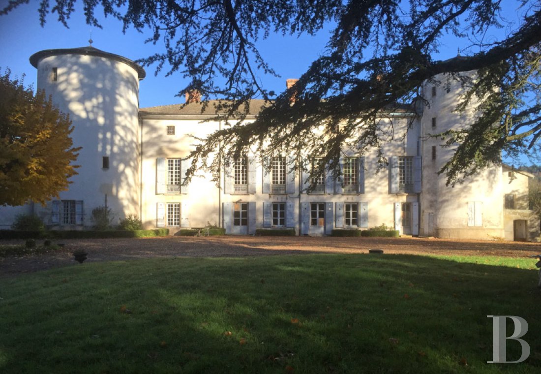 chateaux a vendre rhones alpes   - 2