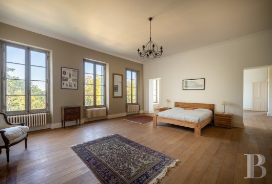 chateaux a vendre midi pyrenees   - 11