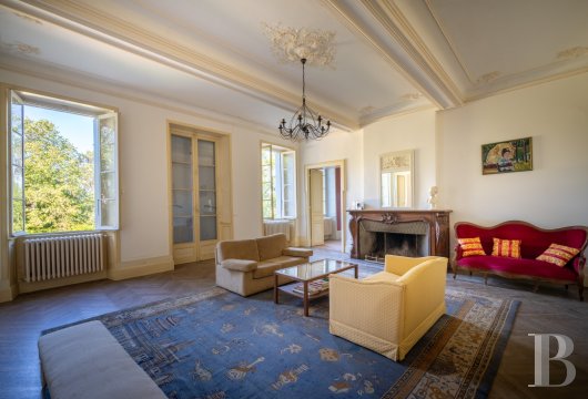 chateaux a vendre midi pyrenees   - 7