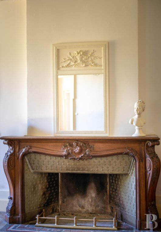 chateaux a vendre midi pyrenees   - 10