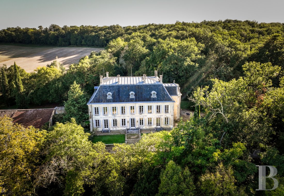 chateaux for sale France midi pyrenees   - 1