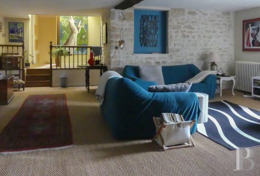 moulins a vendre poitou charentes   - 5