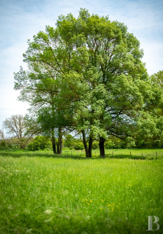 maisons de caractere a vendre midi pyrenees   - 13