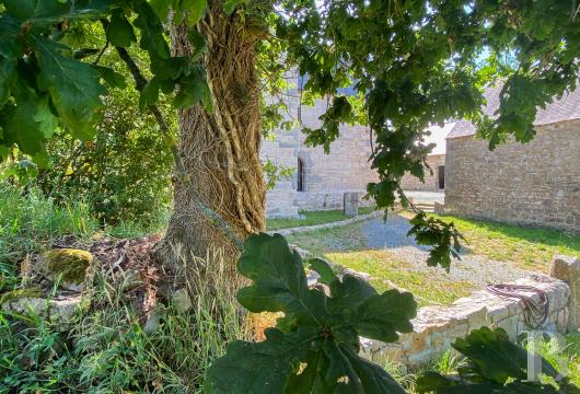 manoirs a vendre bretagne   - 24