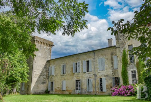 chateaux a vendre midi pyrenees   - 7