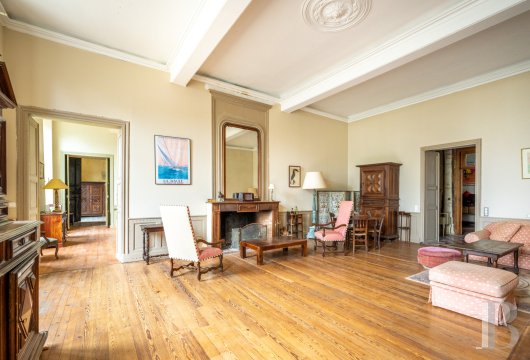 chateaux a vendre midi pyrenees   - 17