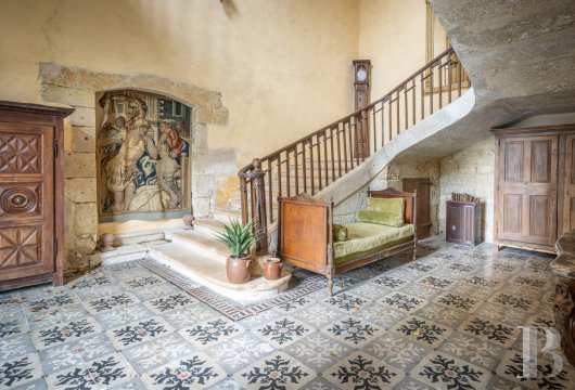 chateaux a vendre midi pyrenees   - 15