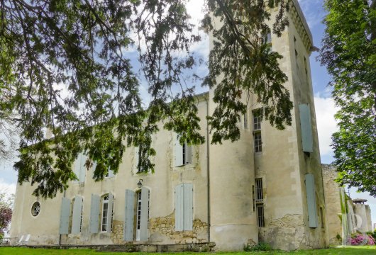 chateaux a vendre midi pyrenees   - 9
