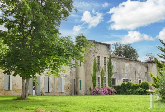 chateaux a vendre midi pyrenees   - 5