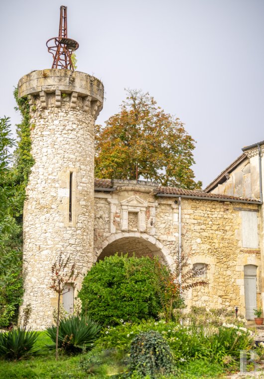 chateaux a vendre midi pyrenees   - 8