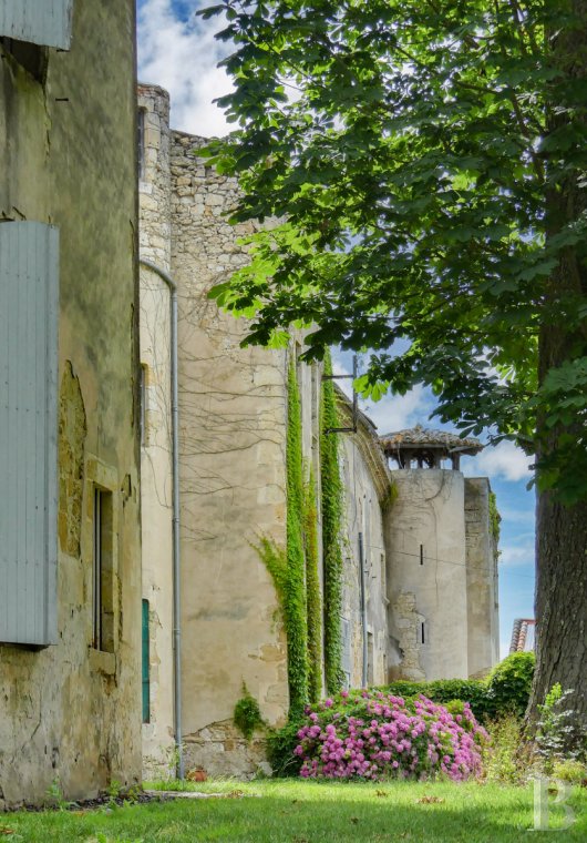 chateaux a vendre midi pyrenees   - 6