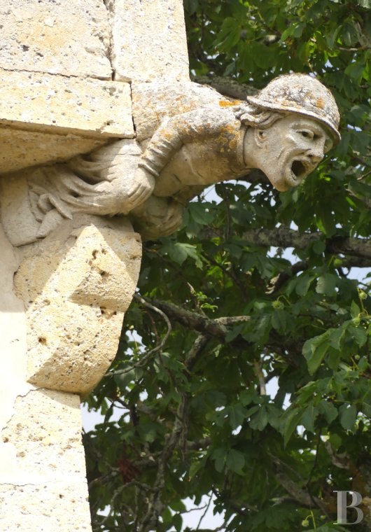 chateaux a vendre midi pyrenees   - 11