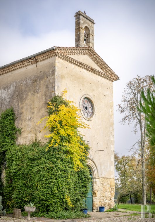 chateaux a vendre midi pyrenees   - 14
