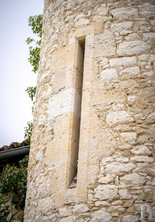 chateaux a vendre midi pyrenees   - 12