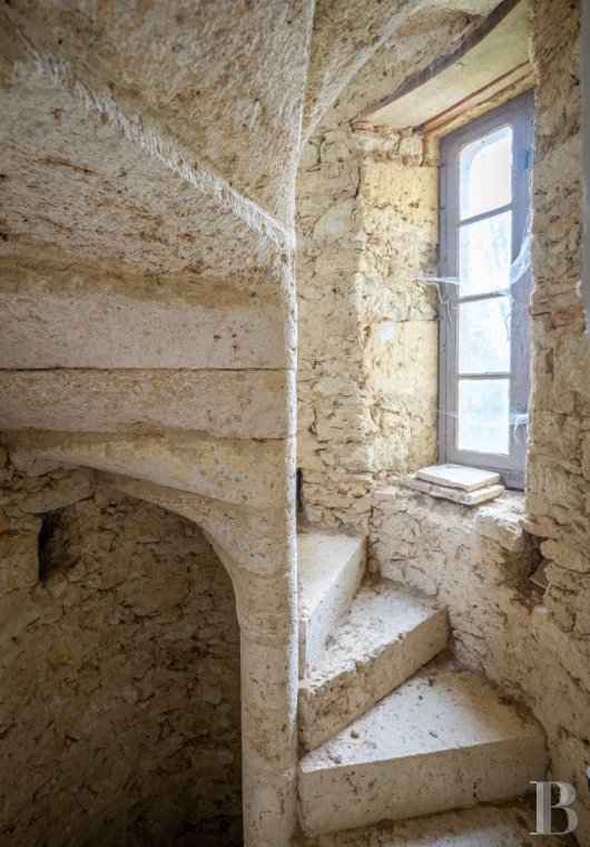 chateaux a vendre midi pyrenees   - 13
