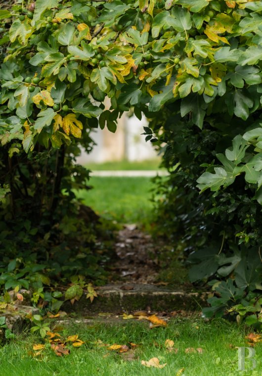 À Malesherbes, dans le Loiret, une demeure du 18e siècle et son jardin en lisière de forêt - photo  n°41