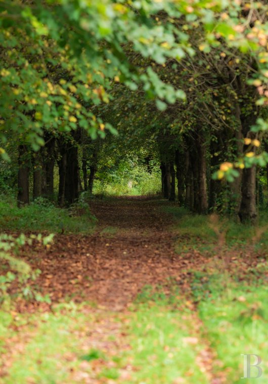 À Malesherbes, dans le Loiret, l’ancienne dépendance du château de Rouville et son jardin en lisière de forêt - photo  n°65