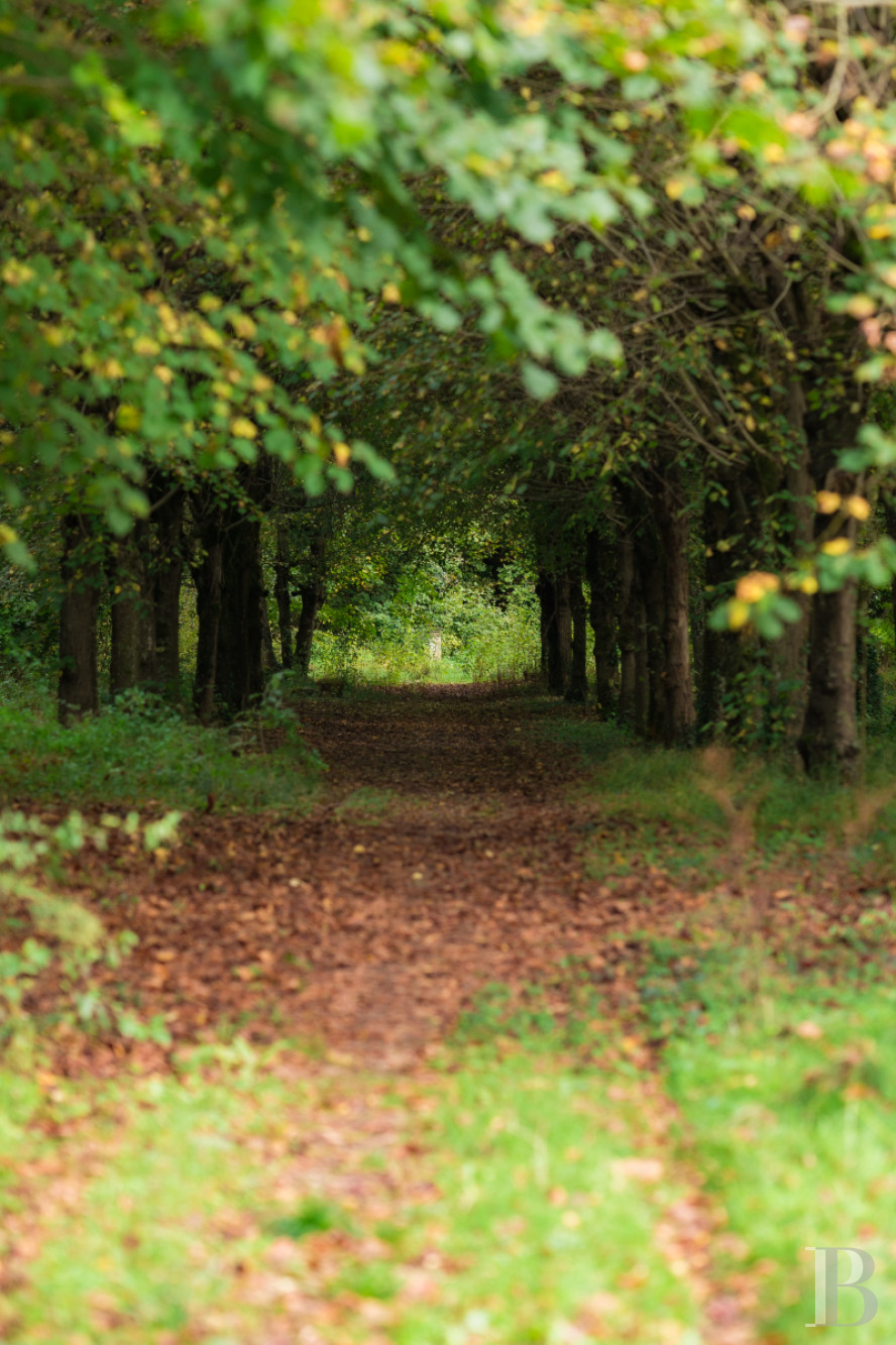 In Malesherbes, in the Loiret region, an 18th-century residence and its garden on the edge of the forest - photo  n°65
