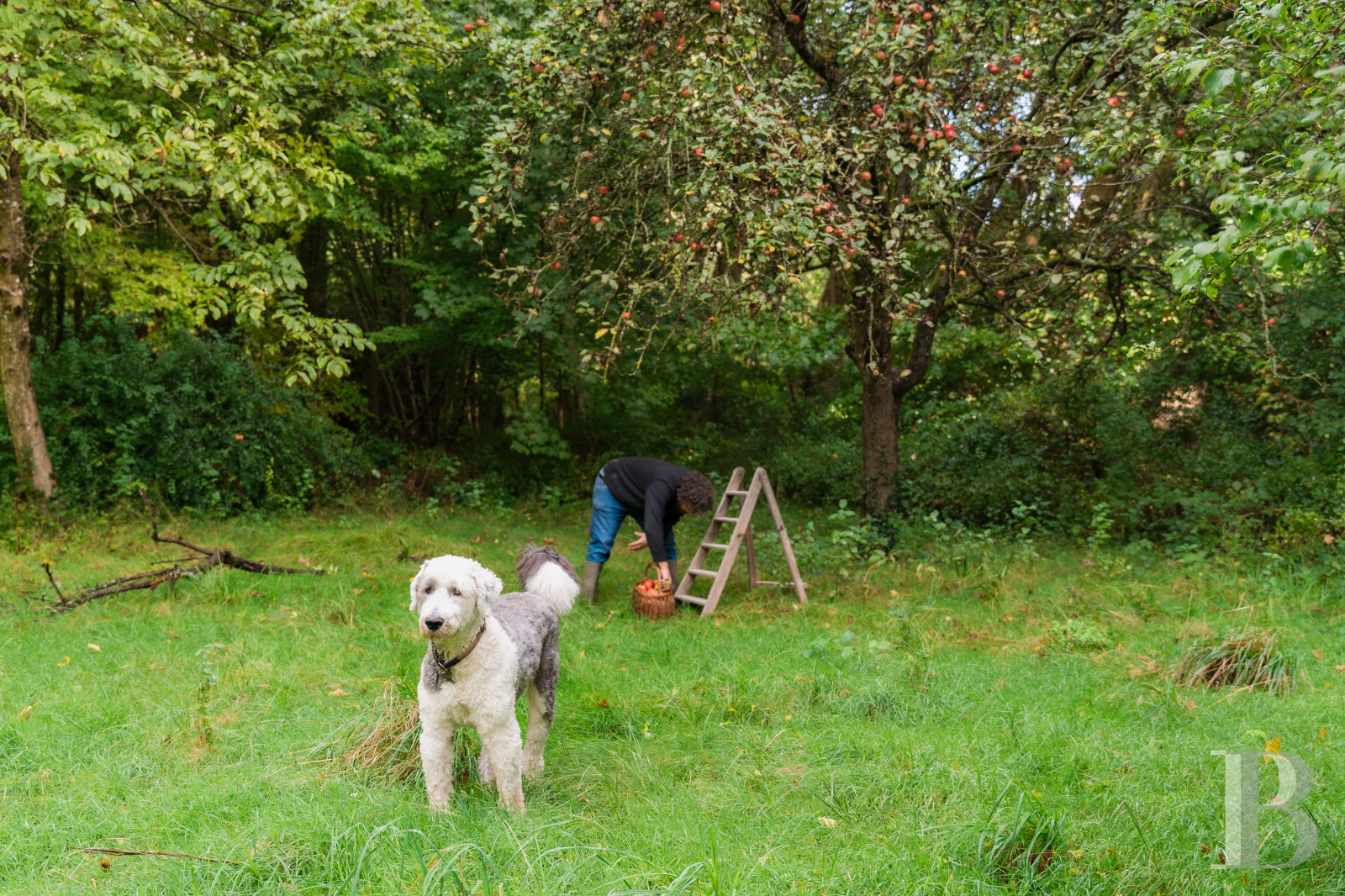 In Malesherbes, in the Loiret region, an 18th-century residence and its garden on the edge of the forest - photo  n°62