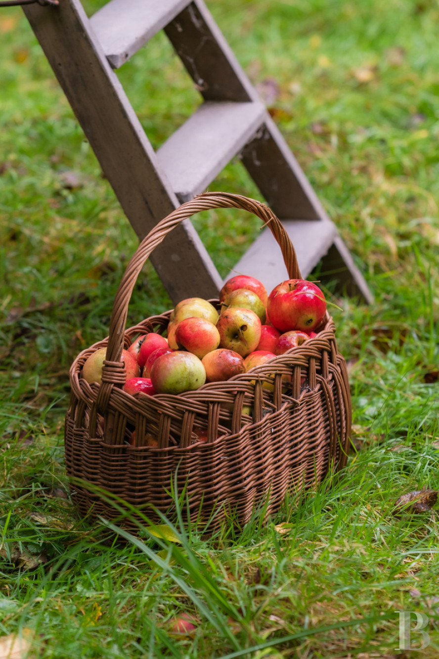 In Malesherbes, in the Loiret region, an 18th-century residence and its garden on the edge of the forest - photo  n°61