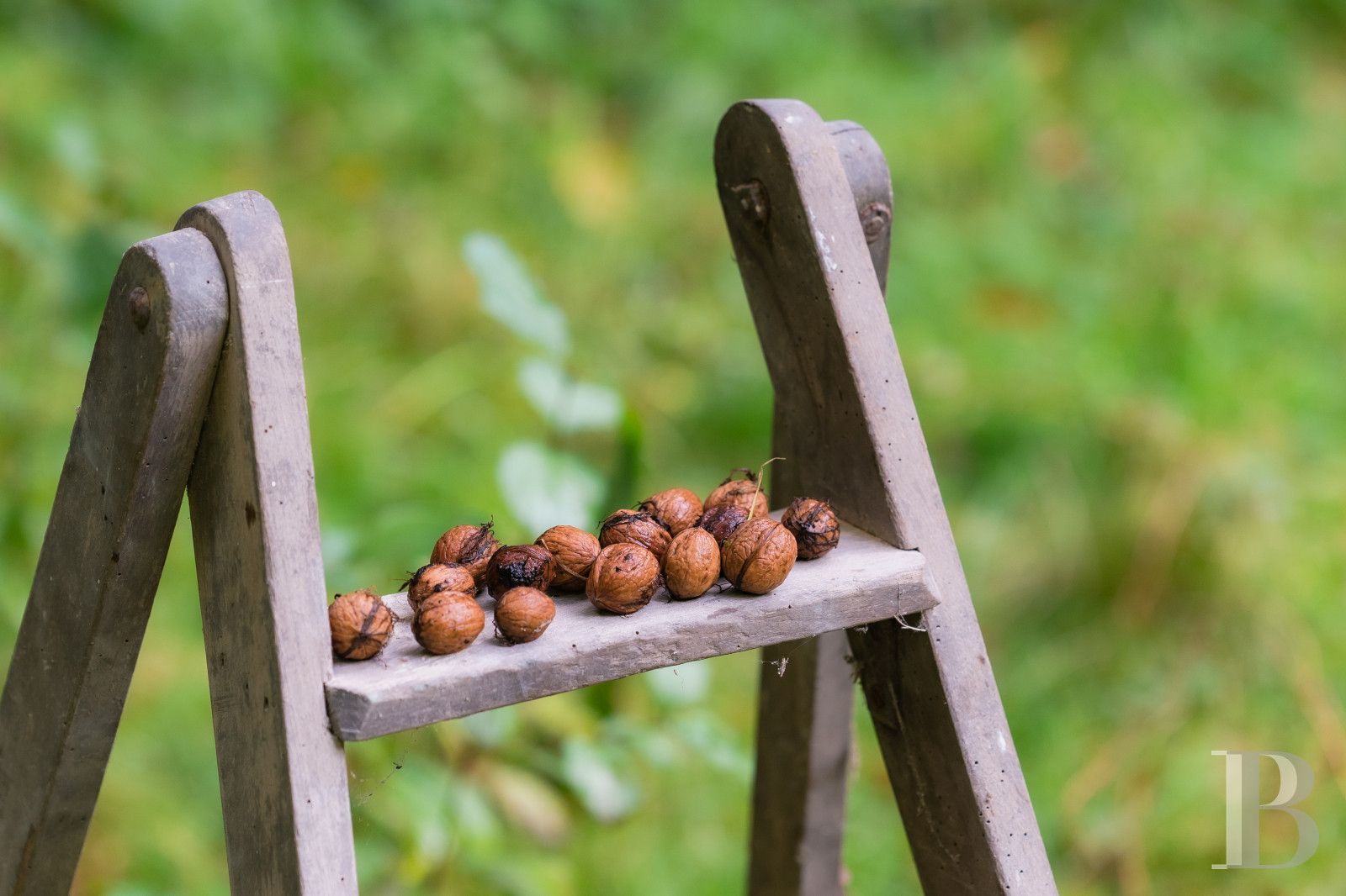 In Malesherbes, in the Loiret region, an 18th-century residence and its garden on the edge of the forest - photo  n°63