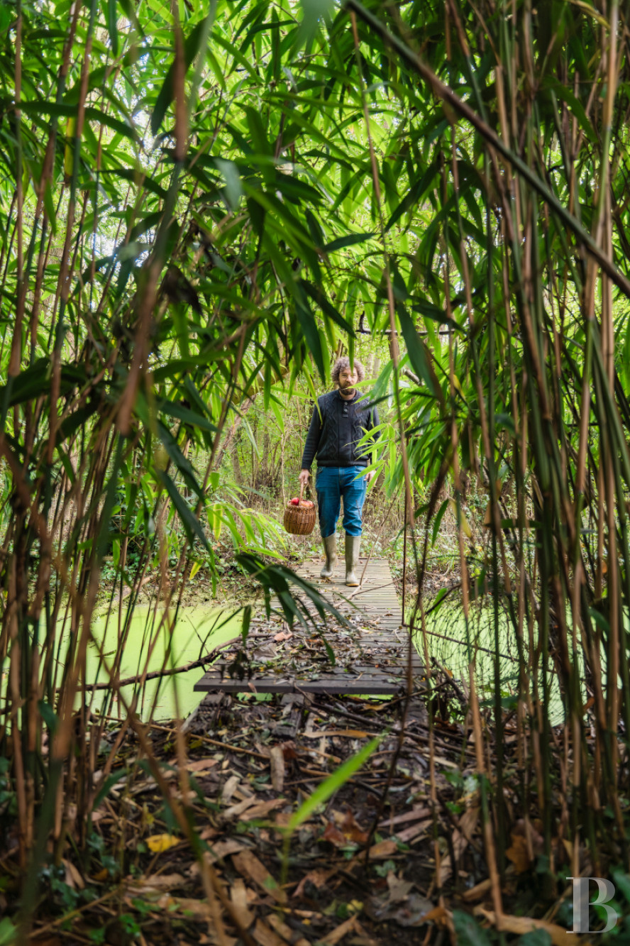 In Malesherbes, in the Loiret region, an 18th-century residence and its garden on the edge of the forest - photo  n°64