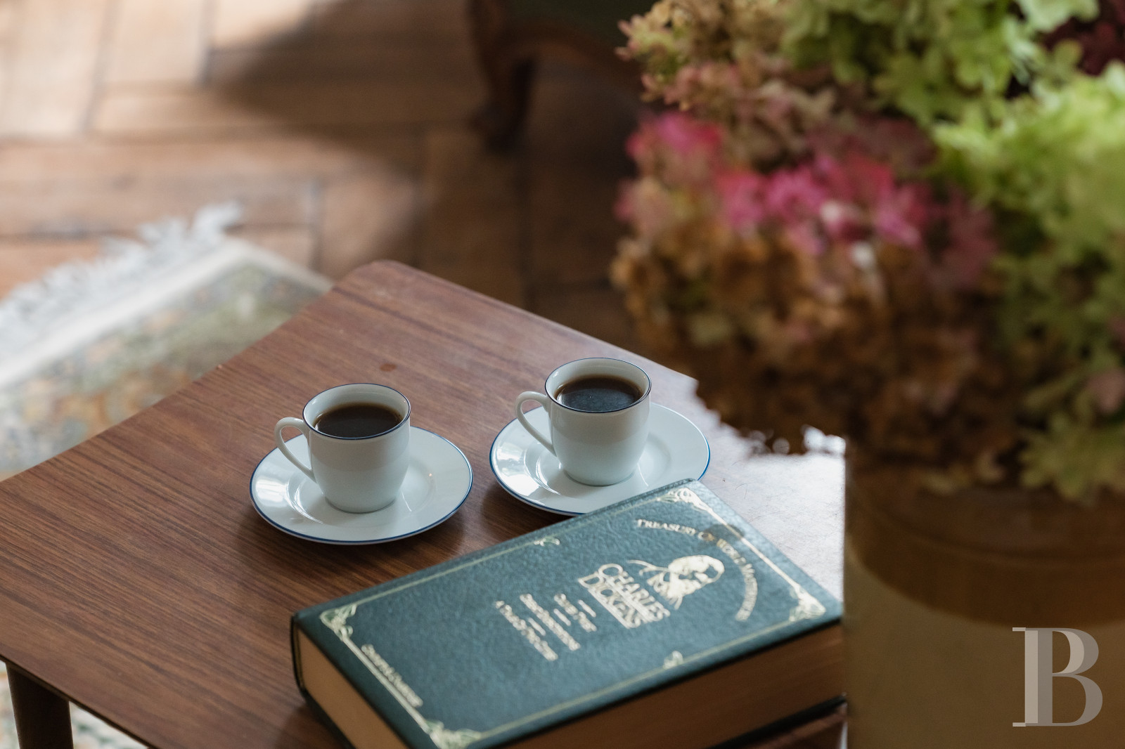 In Malesherbes, in the Loiret region, an 18th-century residence and its garden on the edge of the forest - photo  n°24